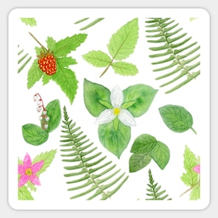 Pacific Northwest Watercolor Botanicals Pattern Sticker